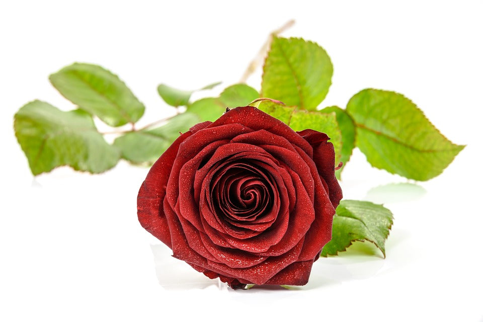 Rose Water Recipe